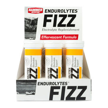 Endurolytes Fizz Mango (12x12x13 Srv) CASE
