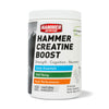Creatine Boost 90srv x 32 CASE