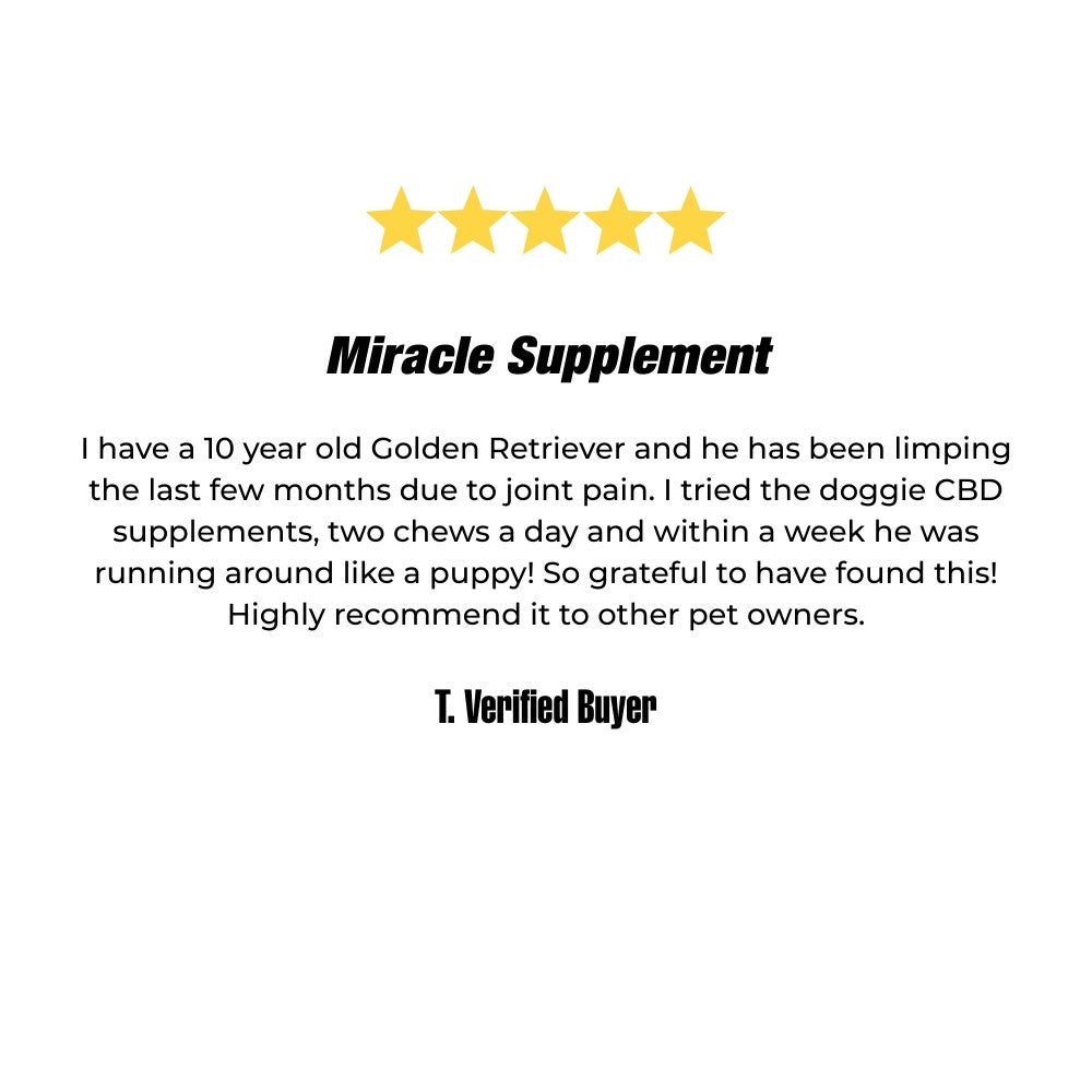 Daily Doggie Essentials Review