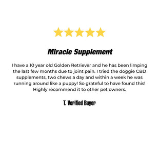 Daily Doggie Essentials Review