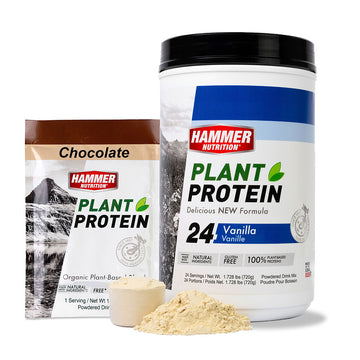 Plant Protein