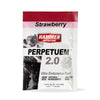 Perpetuem 2.0 Strawberry (1 Srv) x 150 CASE#sep#default